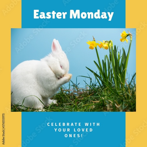Image of easter monday text over rabbit on grass on blue background