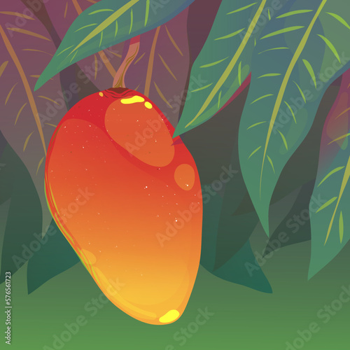 vector illustration of a mango hanging on a tree