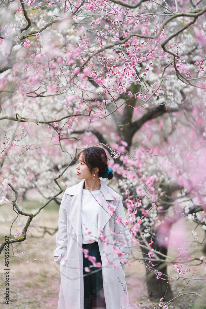 公園の梅の花と女性 公園の梅の花と女性