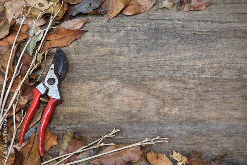 Part border frame top view variety of dry wilted Autumn Fall leaves twigs secateur pruning tool rustic wooden background copy space 