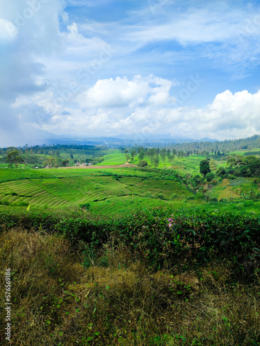 Riung Gunung Pangalengan Landscape at Pangalengan  Bandung Regency  West Java  Indonesia