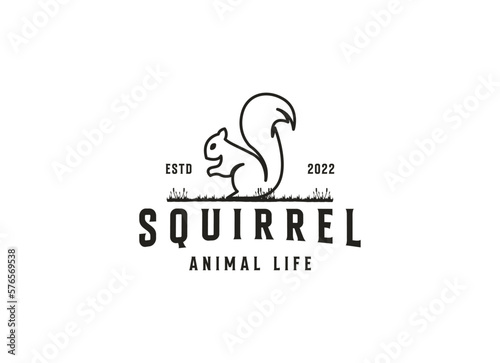 Creative Squirrel Logo. Simple squirrel logo design template.