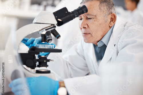 Science, laboratory and senior man with microscope for research, medical study and analytics. Healthcare, biotechnology and old scientist with sample for experiment, vaccine development and medicine
