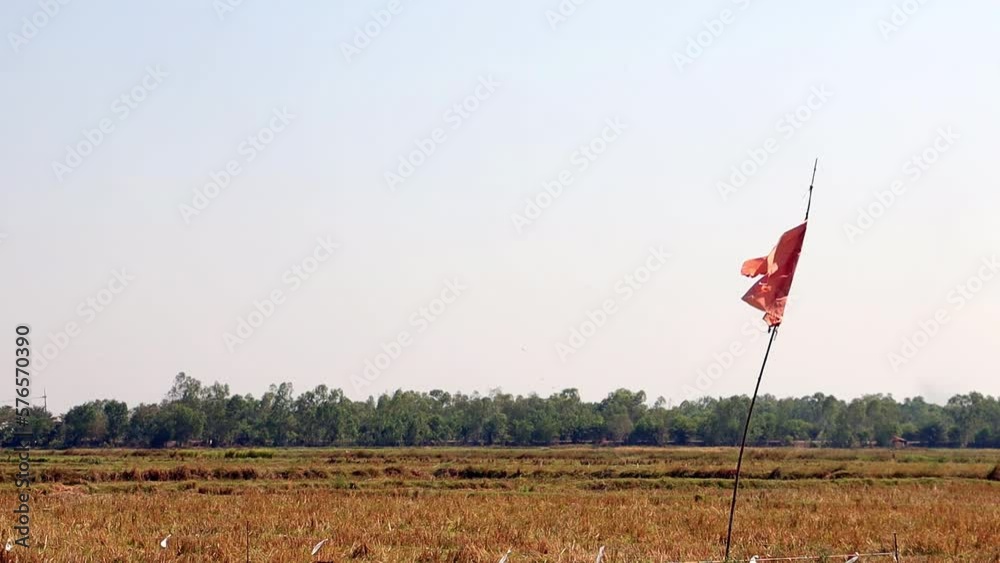 A red flag flying on a field for scare birds, slow motion, Thailand A red flag flying on a field for scare birds, slow motion, Thailand