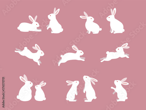 Fotografia Cute white rabbits in various poses