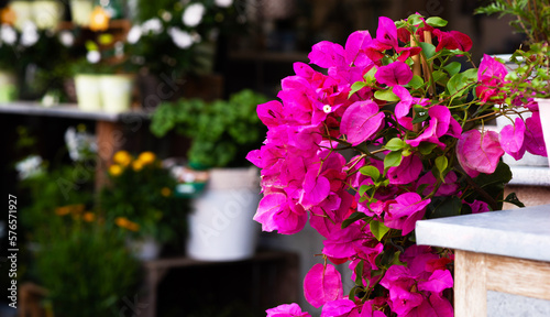 Fototapeta Naklejka Na Ścianę i Meble -  Small local flower shop in France. Local flower shop with beautiful outside display. Small business. Floral design studio, making decorations. Flowers delivery, creation order