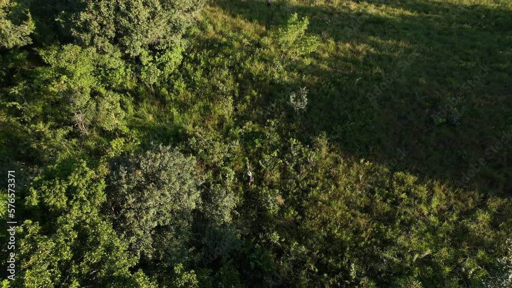 Group of people, mand and woman lost,  exploring dense tropical jungle and rainforestin. 4k high resolution. Aerial drone view shot.