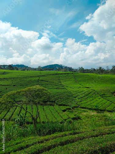 Wallpaper Mural Riung Gunung Pangalengan Landscape at Pangalengan, Bandung Regency, West Java, Indonesia Torontodigital.ca