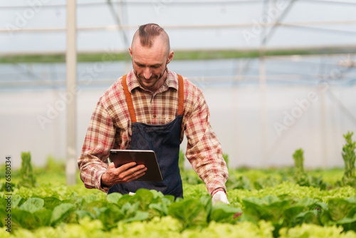 Businessperson or farmer checking hydroponic soilless vegetable in nursery farm. Business and organic hydroponic vegetable concept