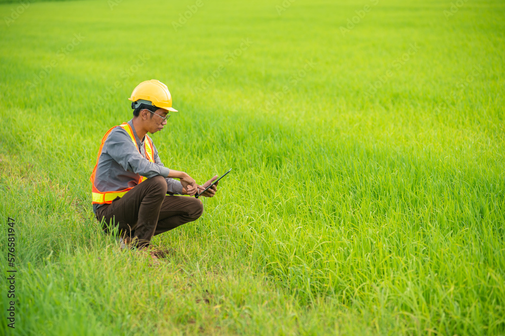 Male engineer worker wearing protective wear sitting check by using tablet on green rice fields in the background. Male engineer worker wearing protective wear sitting check by using tablet on green rice fields in the background.