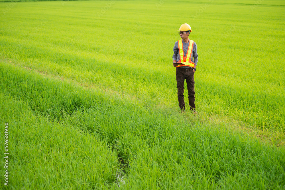 Asian engineering worker wearing hard hat and protective vest using tablet to check area around green rice fields in the background. Asian engineering worker wearing hard hat and protective vest using tablet to check area around green rice fields in the background.