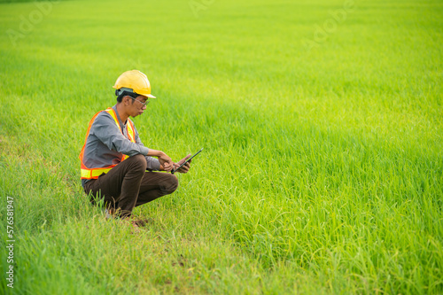 Male engineer worker wearing protective wear sitting check by using tablet on green rice fields in the background.