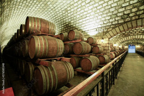Wine Cellar with Wooden Barrels
