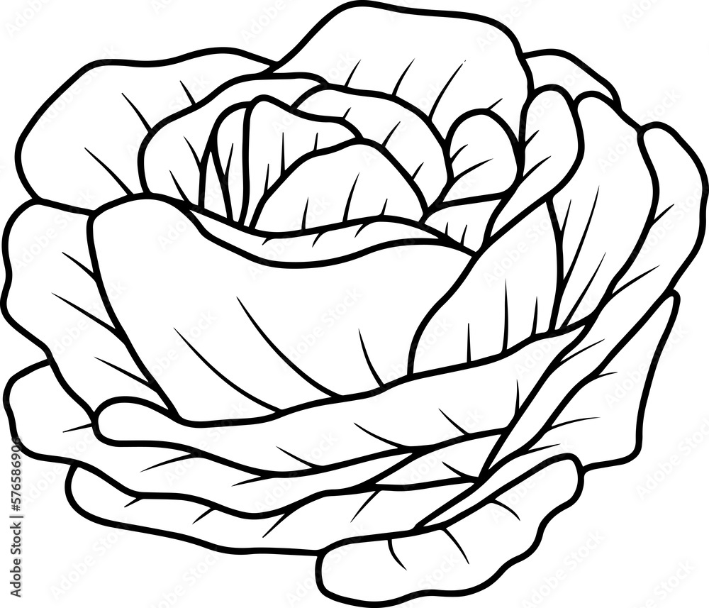Fototapeta premium Flower line art 