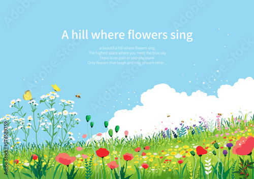 a hill full of clear skies and flowers