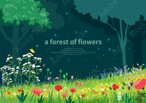 a beautiful field of flowers in the forest