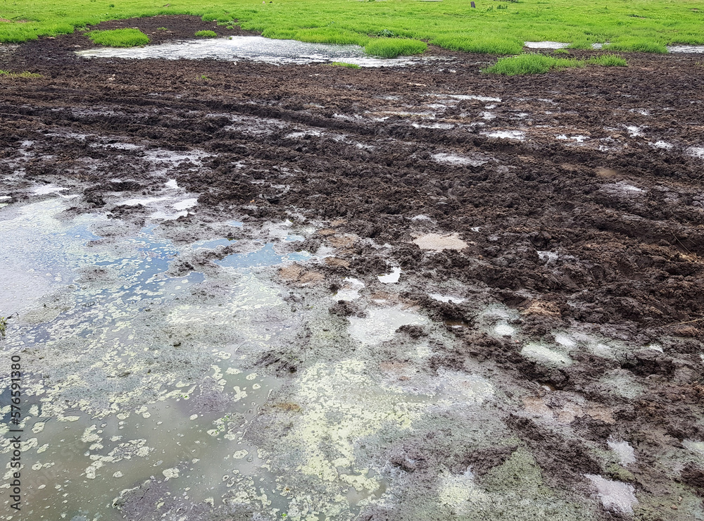 Soil, ground, Organic gardening, agriculture. Environmental texture, pattern. Mud on field, grass. Soil, ground, Organic gardening, agriculture. Environmental texture, pattern. Mud on field, grass.