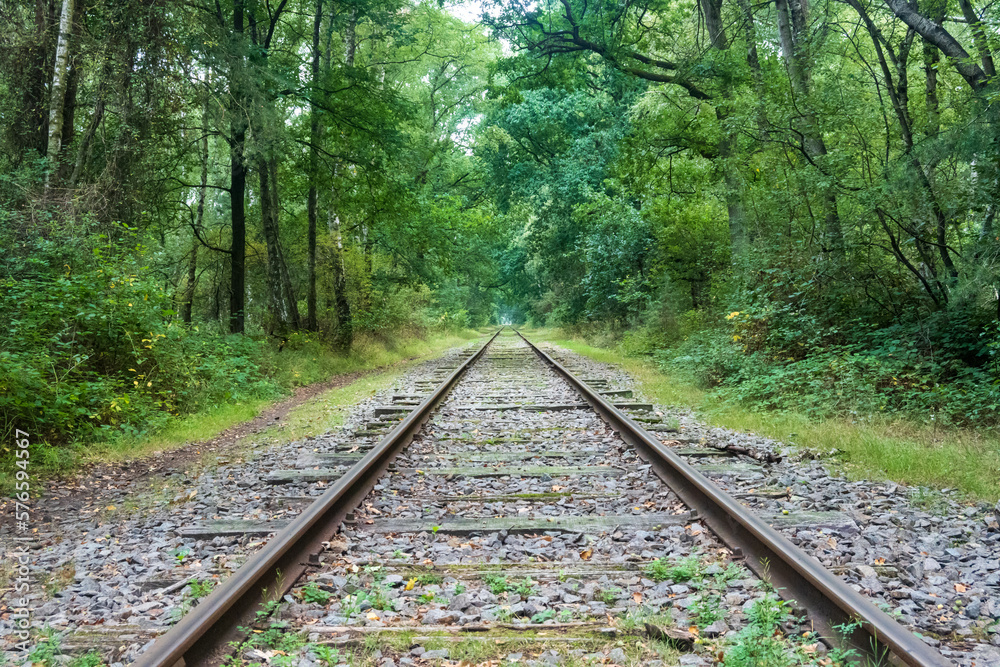 horizontal photo of old train tracks through the green forest horizontal photo of old train tracks through the green forest