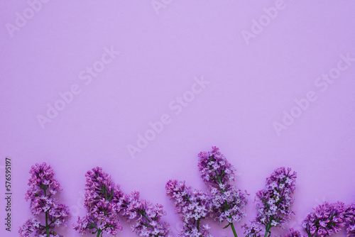 Top view of the laying of lilac flowers lying on the table  copy space on a purple background. Spring has come