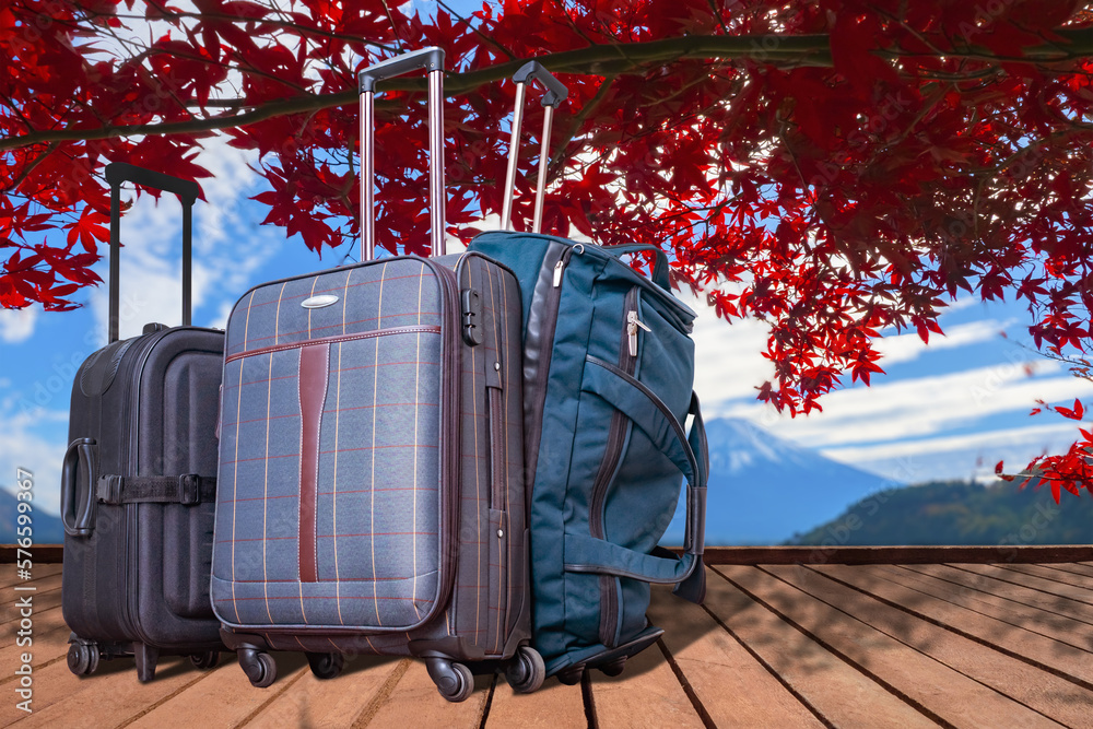 Travel suitcases. Bags of tourists under branches of red maple. Mount