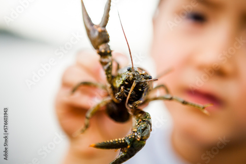 Japanese American boy holding crawfish photo