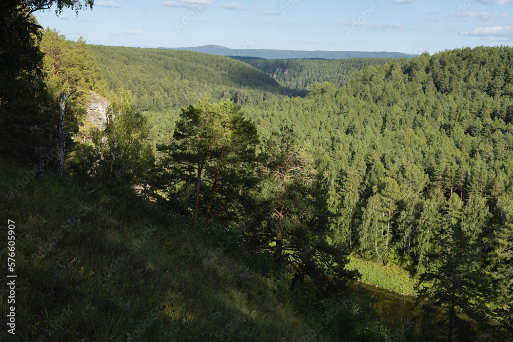 Panorama landscape in sunny summer day with bright lush green pine forest on valley in golden sunlight and mountains on horizon with blue sky. Peaceful scenery for hiking, recreation on wild nature.