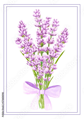 Hand drawn watercolor lavender flowers with a bow. Isolated on white background. Scrapbook  post card  banner  lable  poster.