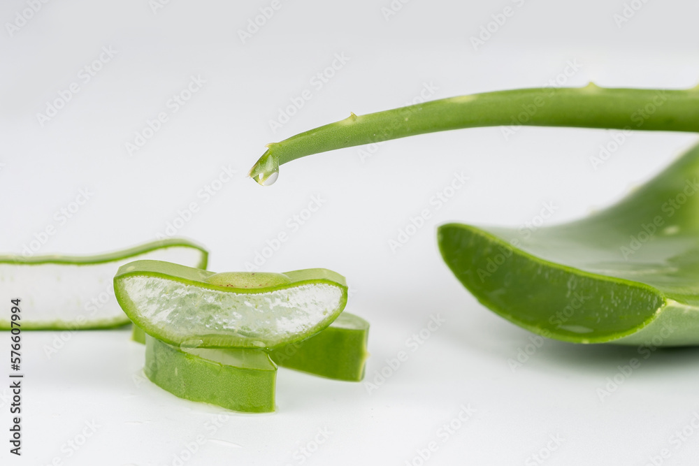 Fresh aloe vera leaves and slices isolate against white background for health and beauty products. Fresh aloe vera leaves and slices isolate against white background for health and beauty products.