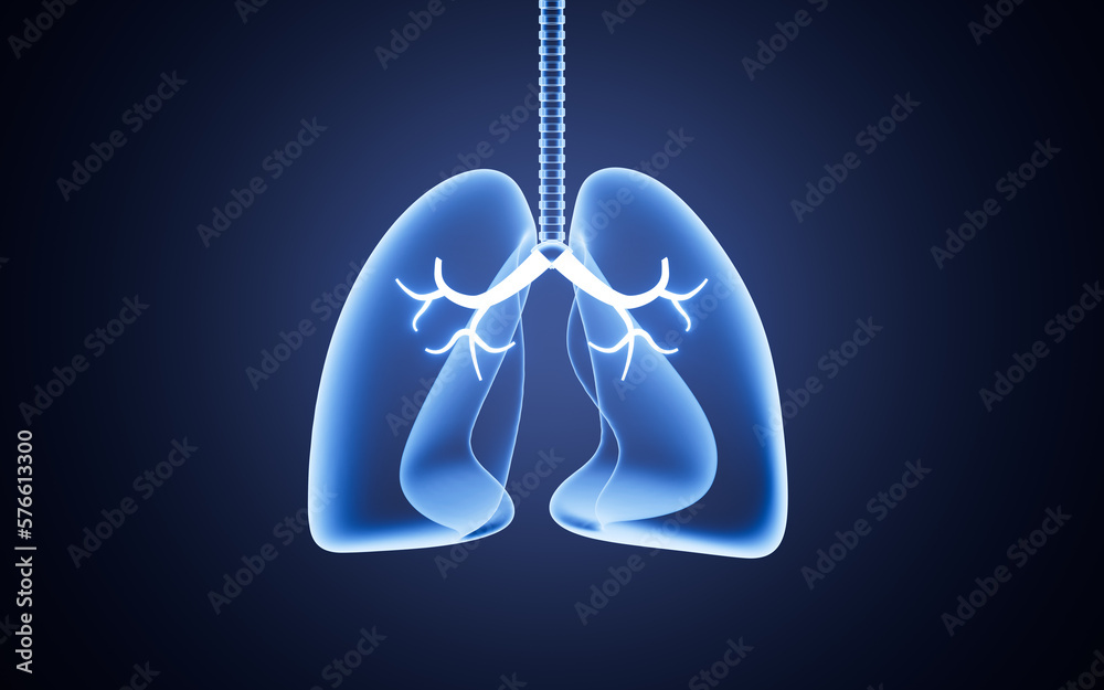 Glowing nervous system and lungs, Medical concept, 3d rendering.