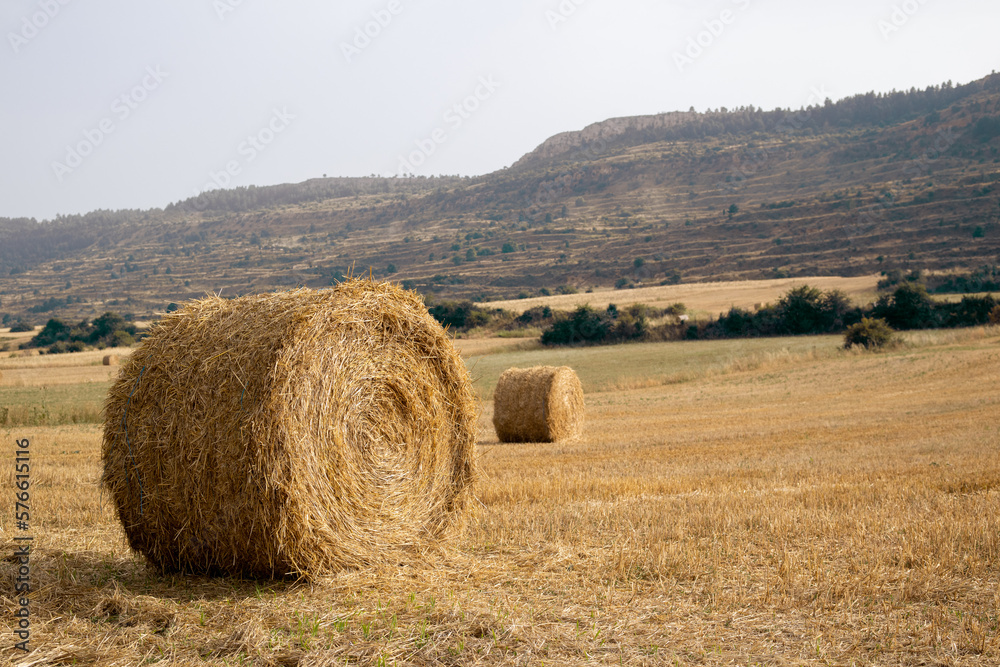 Spanish landscape of a harvested wheat field with two round straw bales