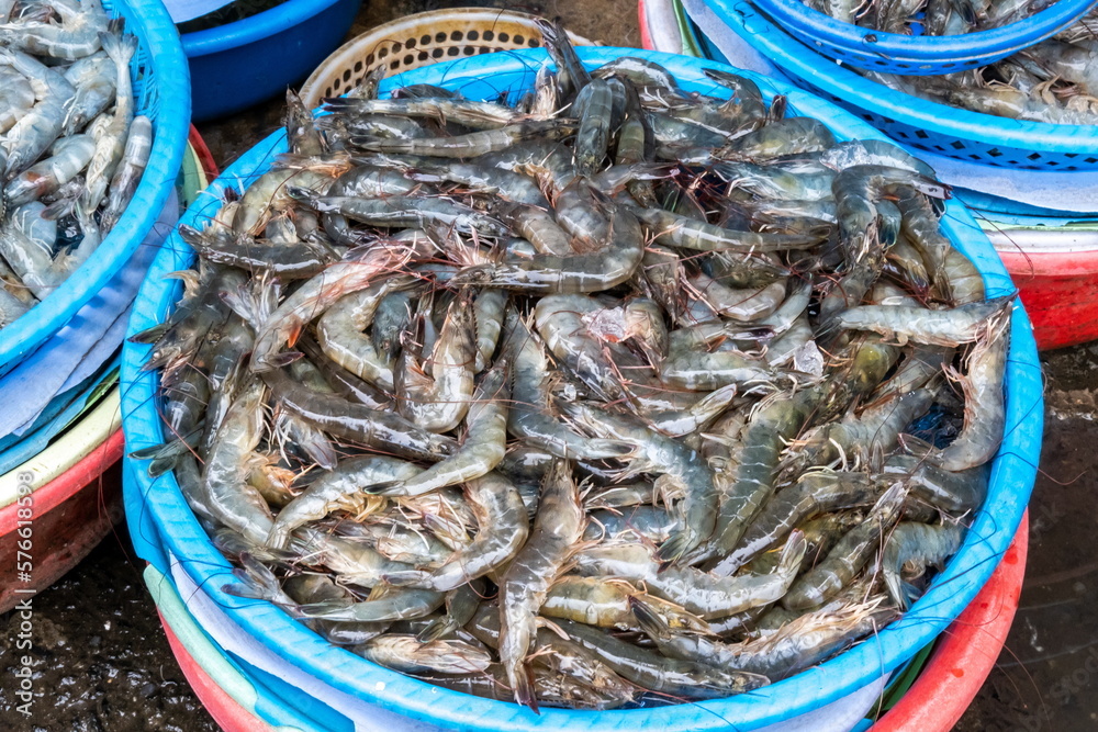 The fresh big raw shrimp for sale at the street food market in Vietnam The fresh big raw shrimp for sale at the street food market in Vietnam