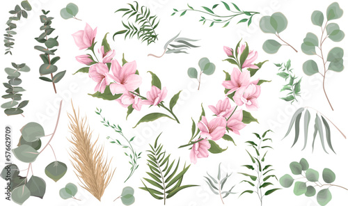 Mix of herbs and plants vector big collection. Juicy eucalyptus, deadwood, green plants and leaves. All elements are isolated. A branch of pink magnolia, sakura. 