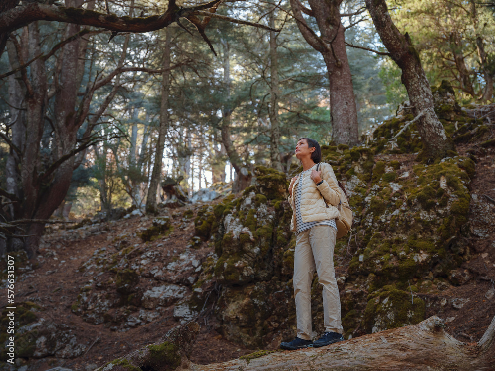 asian woman enjoys being in nature, beautiful forest in mountains. embracing fresh air and engaging in outdoor activities. Friluftsliv concept means spending as much time outdoors as possible asian woman enjoys being in nature, beautiful forest in mountains. embracing fresh air and engaging in outdoor activities. Friluftsliv concept means spending as much time outdoors as possible