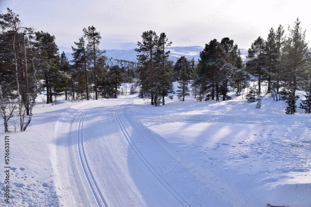 Snowy Alpine scene, Hovden , Norway, February 2023. Sunny skies, trees and snow. Snowy Alpine scene, Hovden , Norway, February 2023. Sunny skies, trees and snow.