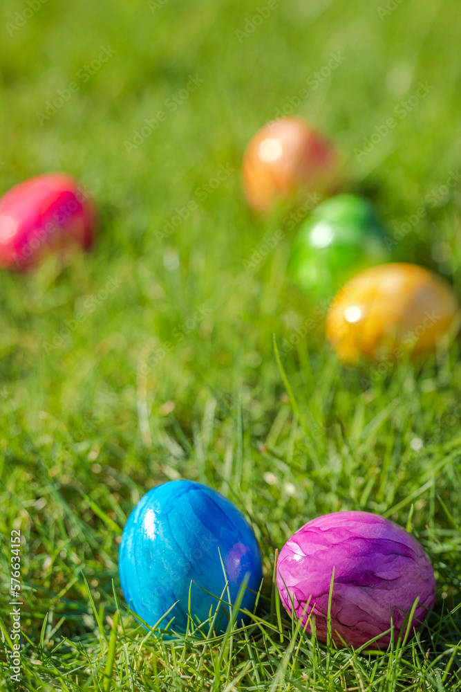 Painted decorated colorful Easter eggs in Fresh Green Grass with copy space, spring Happy Easter concept. Beautiful nature meadow Holiday, Easter, egg hunting background
