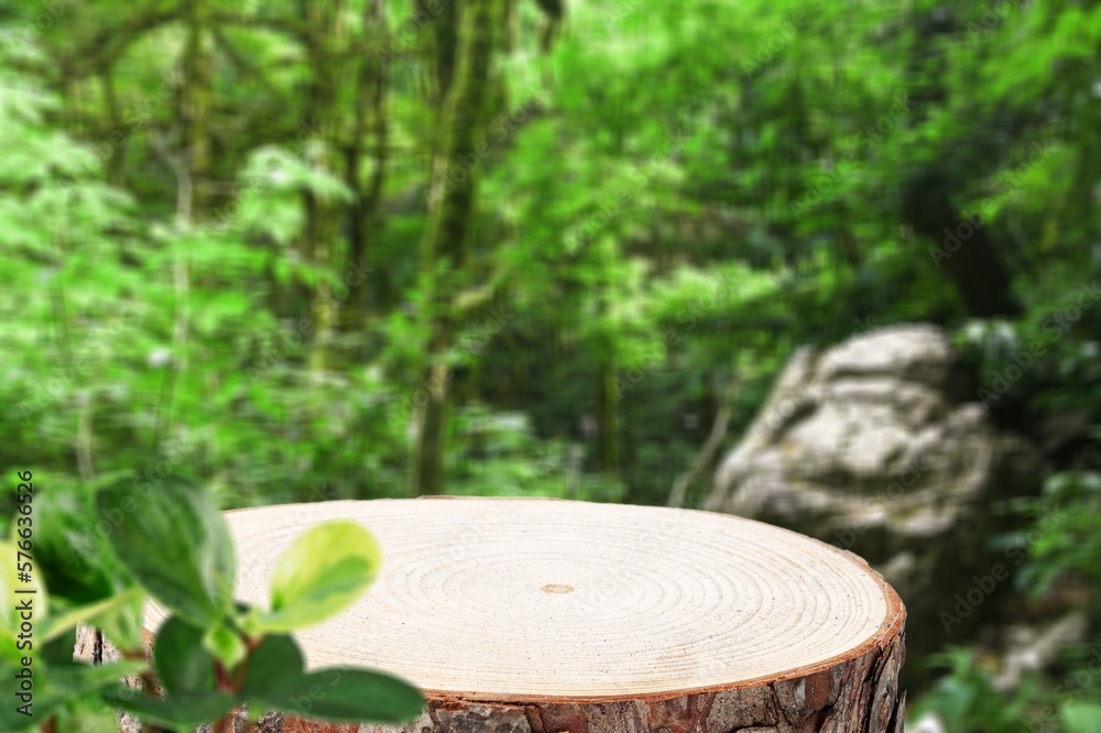 Empty wood podiumin nature outdoor garden Empty wood podiumin nature outdoor garden