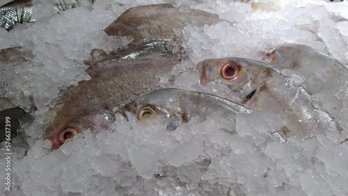 Pomfret frozen ice fish ikan bawal photo