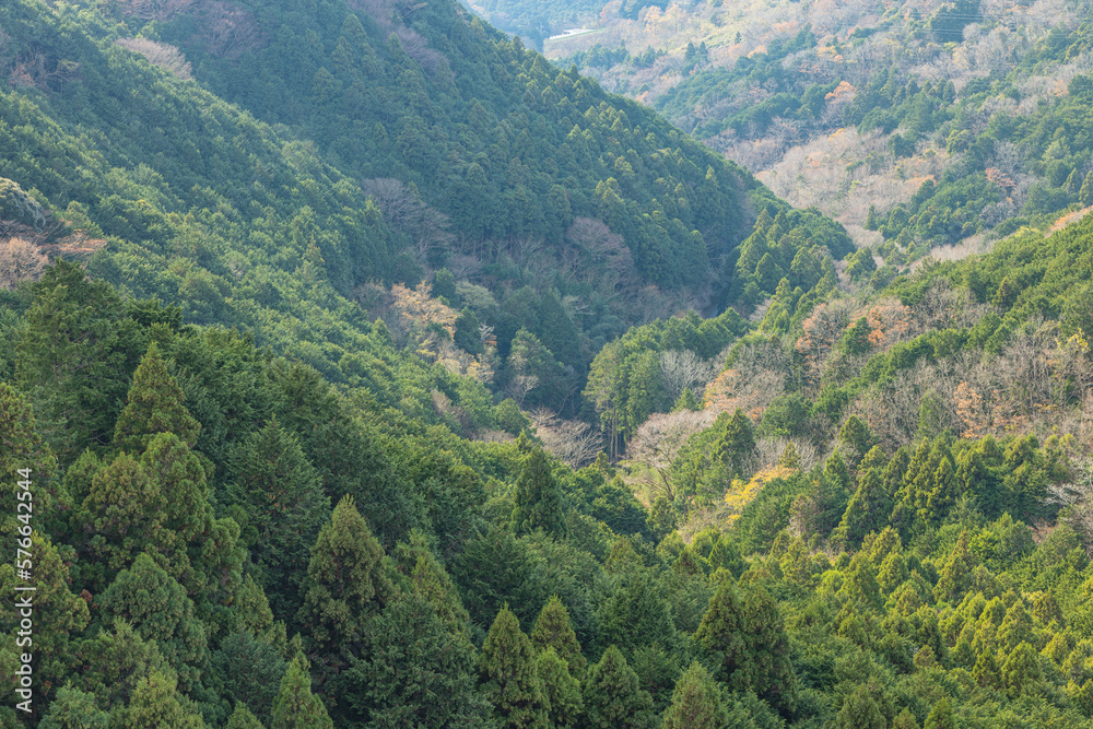 日本　静岡県三島市の三島スカイウォークから見える風景