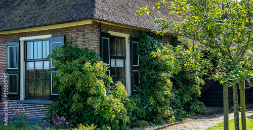 Landscape view of typical houses of Giethoorn, Netherlands. Famous village is know as "Venice of the North". Village with canals and rustic thatched roof houses. © eskstock