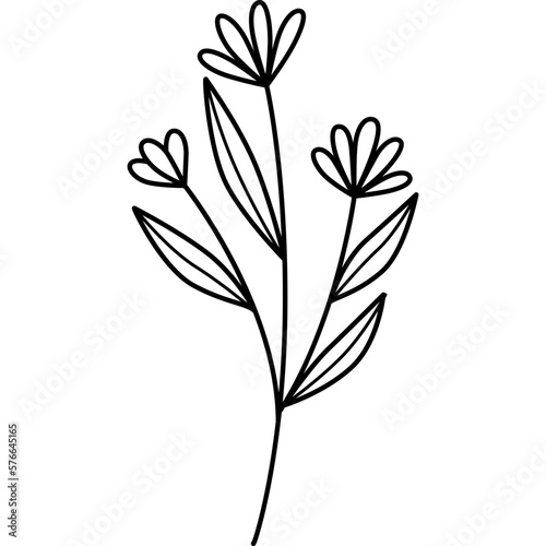 Plant Flower Outline Illustration