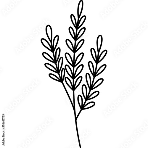 Fototapeta Naklejka Na Ścianę i Meble -  Plant Flower Outline Illustration