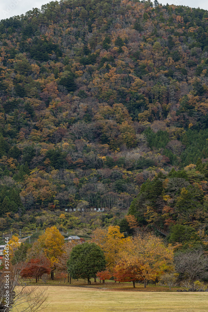 日本　静岡県榛原郡川根本町の大井川沿いにある長島公園の紅葉