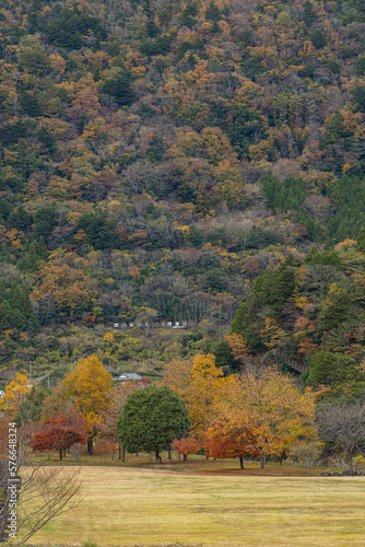 日本 静岡県榛原郡川根本町の大井川沿いにある長島公園の紅葉