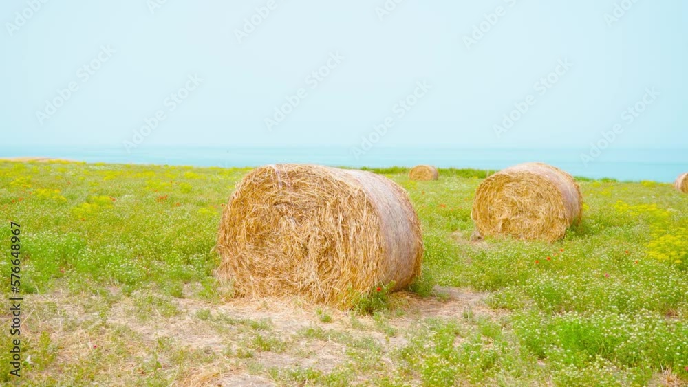 Dry hay stacks on the field in front of the sea Dry hay stacks on the field in front of the sea