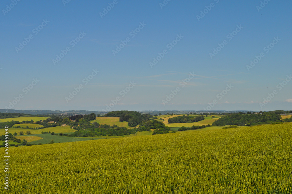 Panoramic view over English rural summer landscape, Somerset, England
