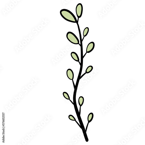 Plant  Sea plant  Seaweed  Sea life illustration