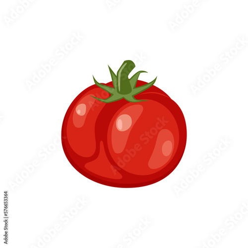Vector illustration of fresh tomato fruit isolated on white background. Healthy food concept.