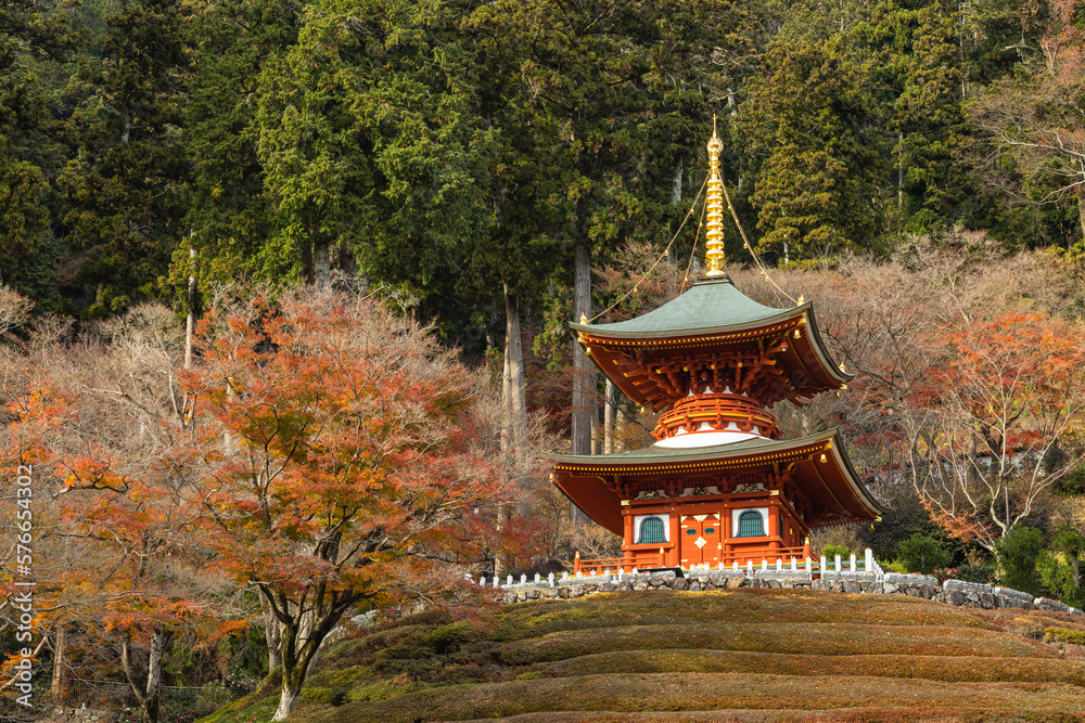 日本　大阪府箕面市にある勝尾寺の多宝塔と紅葉した木々