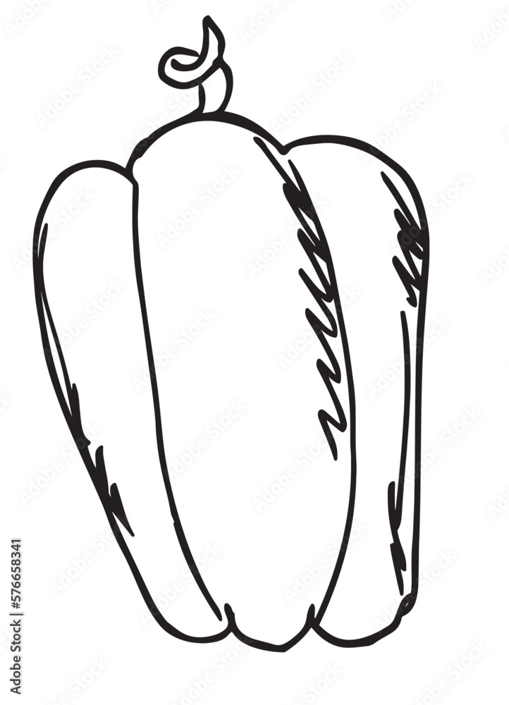 sweet peeper hand drawn vector illustration sweet peeper hand drawn vector illustration