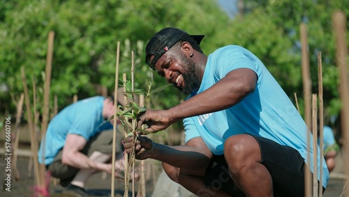 African American men volunteer helpers planting trees in mangrove forest for environmental protection and ecology, reduce global warming photo